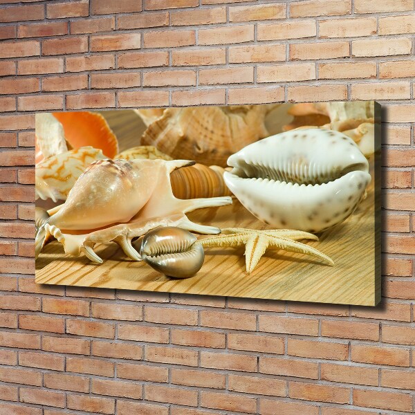 Canvas foto Schelpen op hout