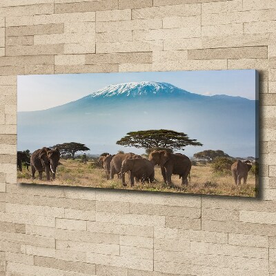 Canvas foto Kilimanjaro-olifanten