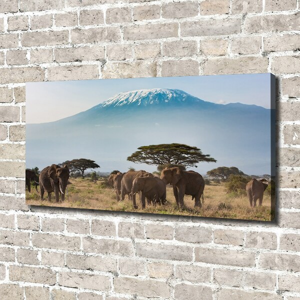 Canvas foto Kilimanjaro-olifanten