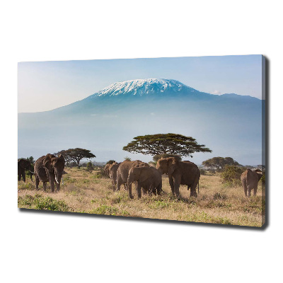 Canvas foto Kilimanjaro-olifanten