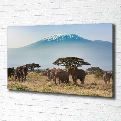 Canvas foto Kilimanjaro-olifanten
