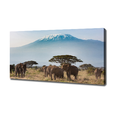 Canvas foto Kilimanjaro-olifanten
