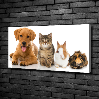 Canvas schilderij Hond en kat