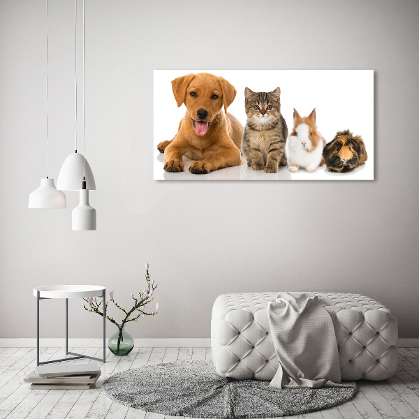 Canvas schilderij Hond en kat