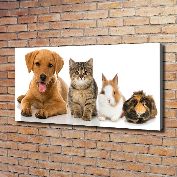 Canvas schilderij Hond en kat