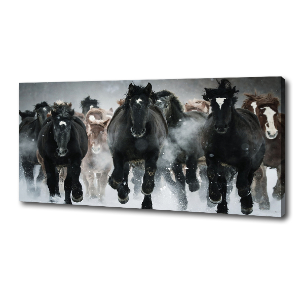 Schilderij op canvas Paarden in galop
