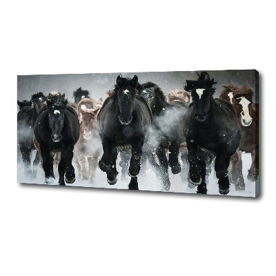 Schilderij op canvas Paarden in galop
