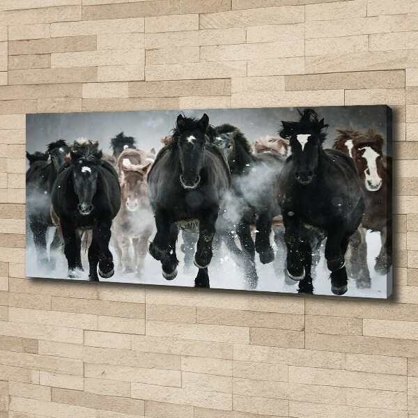 Schilderij op canvas Paarden in galop