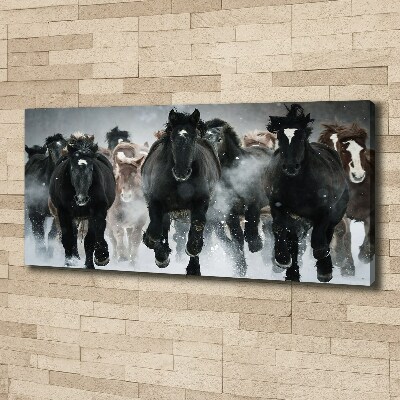 Schilderij op canvas Paarden in galop