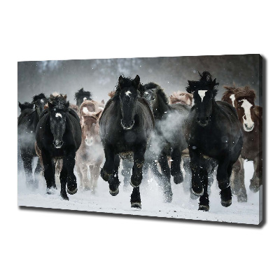 Schilderij op canvas Paarden in galop