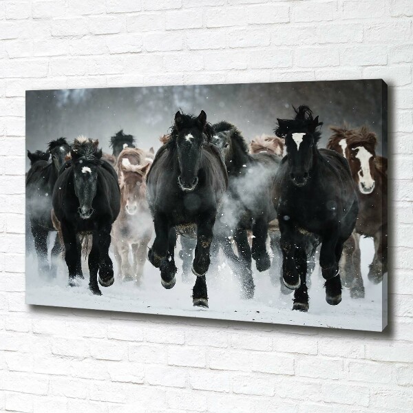 Schilderij op canvas Paarden in galop
