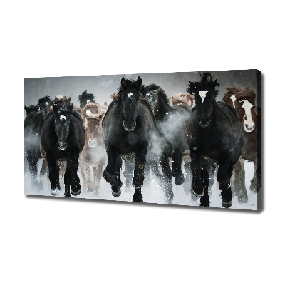 Schilderij op canvas Paarden in galop