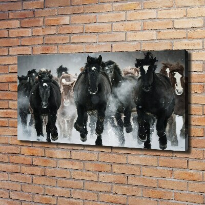 Schilderij op canvas Paarden in galop