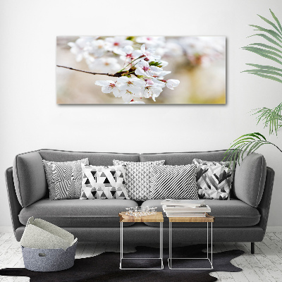 Foto op canvas Kersenbloesems