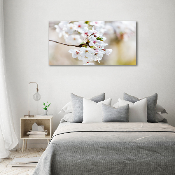 Foto op canvas Kersenbloesems