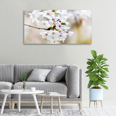 Foto op canvas Kersenbloesems