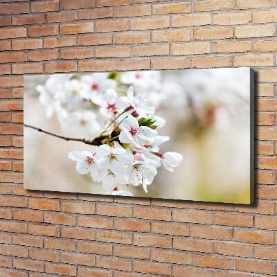 Foto op canvas Kersenbloesems