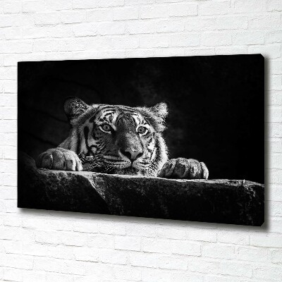 Foto canvas Tijger