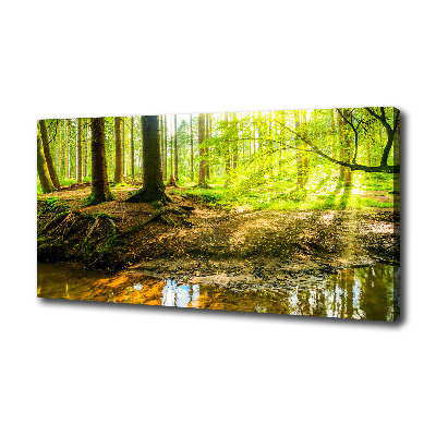 Canvas foto Zonnestralen in het bos