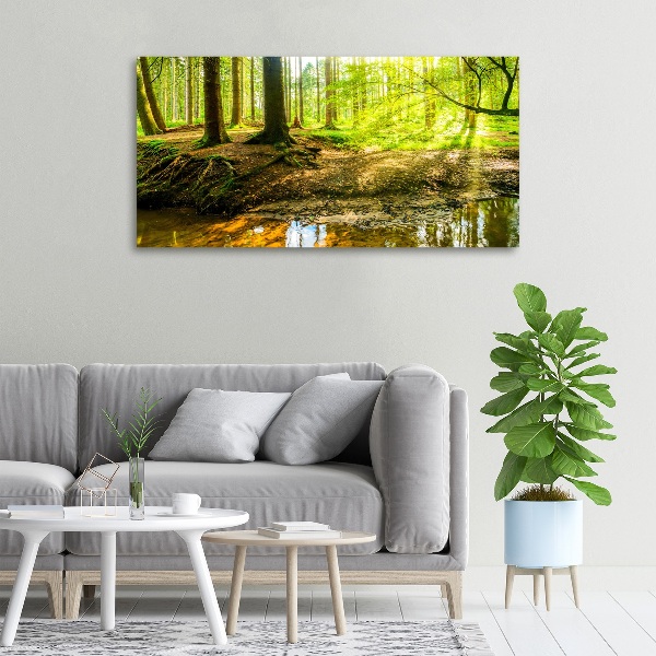 Canvas foto Zonnestralen in het bos