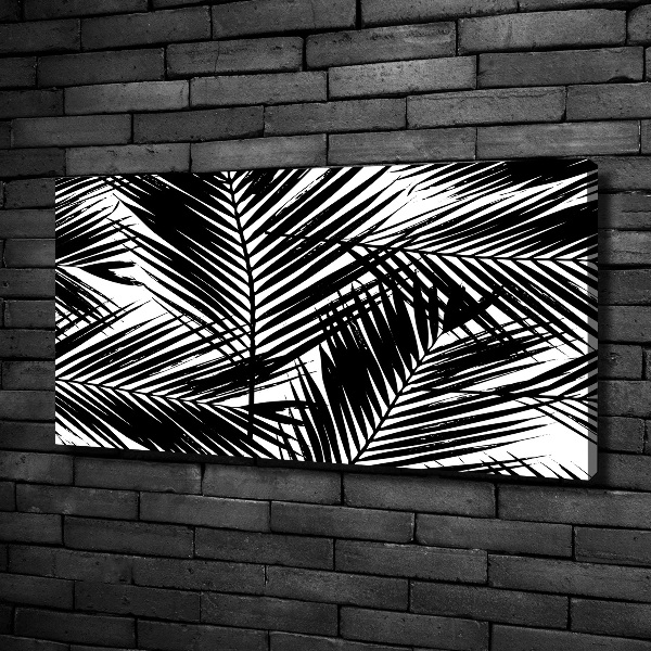 Foto op canvas Palmbladeren