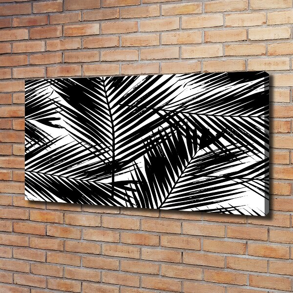 Foto op canvas Palmbladeren