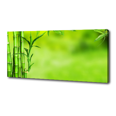 Canvas schilderij Bamboe