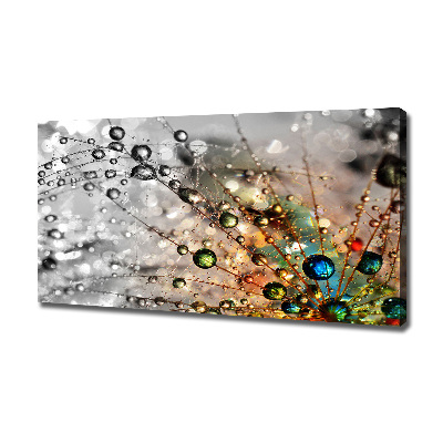 Foto canvas Paardenbloemzaden