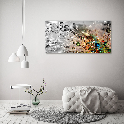 Foto canvas Paardenbloemzaden