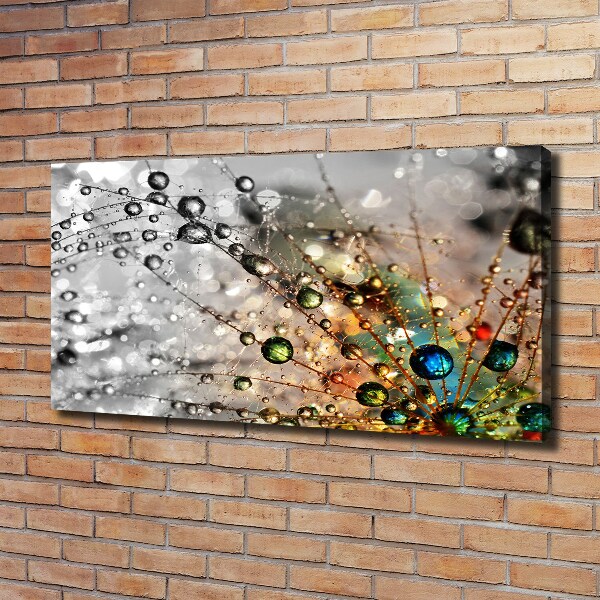 Foto canvas Paardenbloemzaden