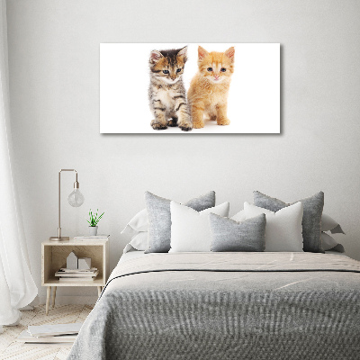 Foto op canvas Bruine en rosse kat