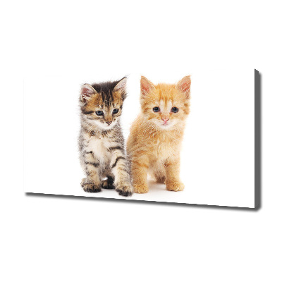 Foto op canvas Bruine en rosse kat
