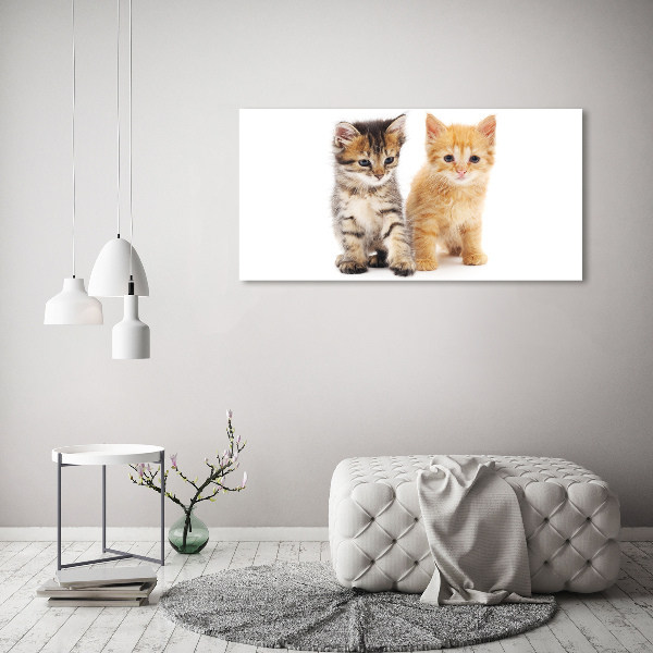 Foto op canvas Bruine en rosse kat