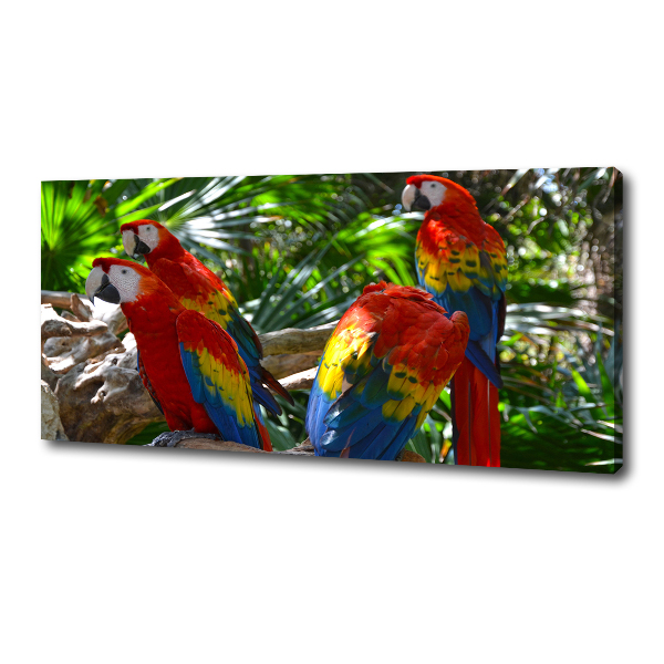 Canvas foto Ara papegaaien