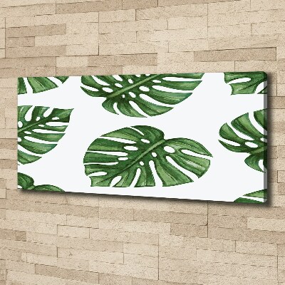 Canvas schilderij Monstera