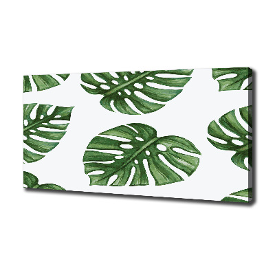 Canvas schilderij Monstera