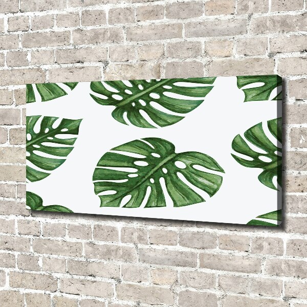 Canvas schilderij Monstera
