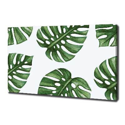 Canvas schilderij Monstera