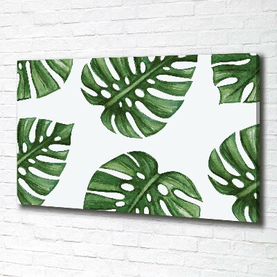 Canvas schilderij Monstera