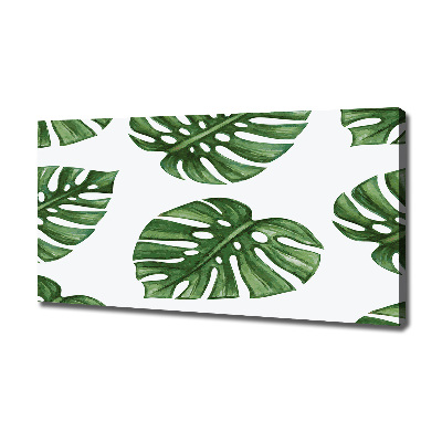 Canvas schilderij Monstera