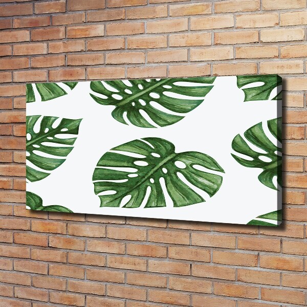 Canvas schilderij Monstera