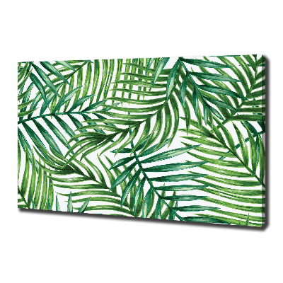 Schilderij op canvas Palmbladeren