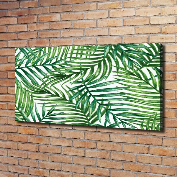 Schilderij op canvas Palmbladeren
