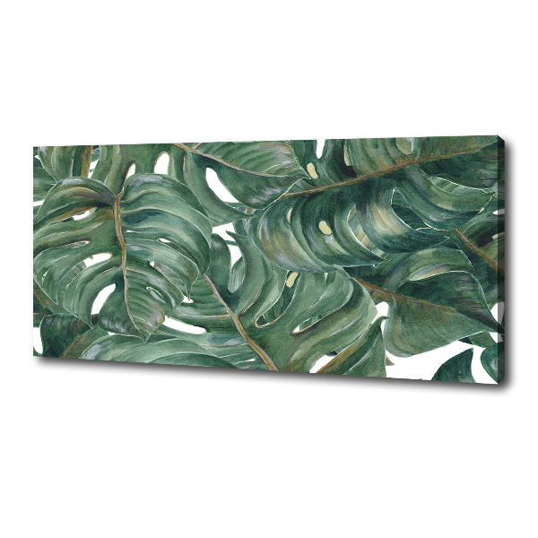 Foto canvas Monstera