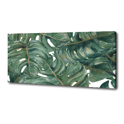 Foto canvas Monstera