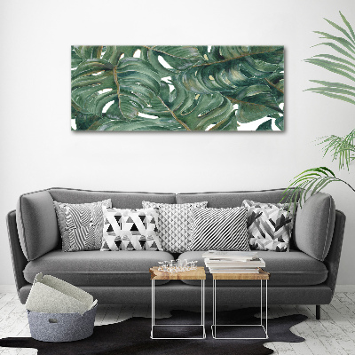 Foto canvas Monstera