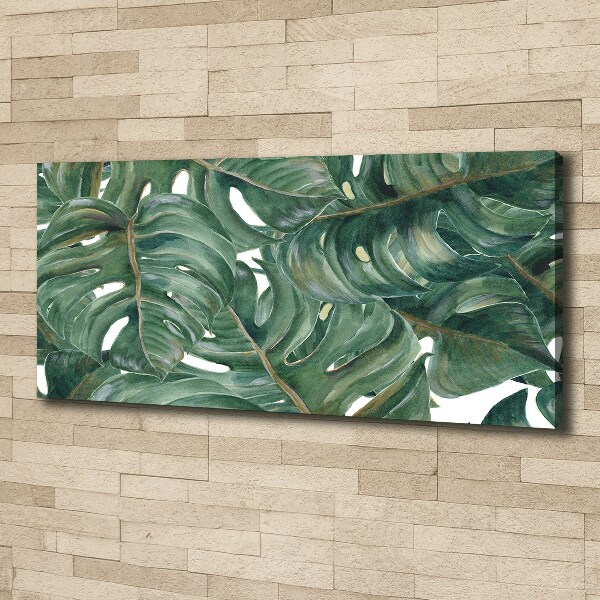 Foto canvas Monstera