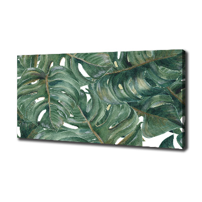 Foto canvas Monstera