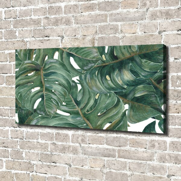 Foto canvas Monstera