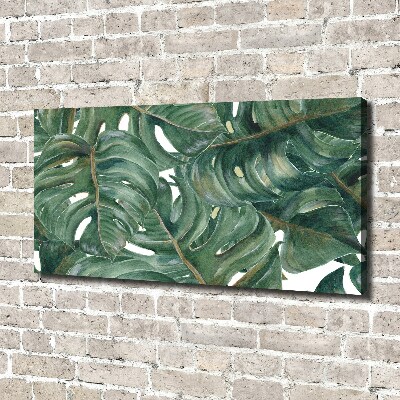 Foto canvas Monstera